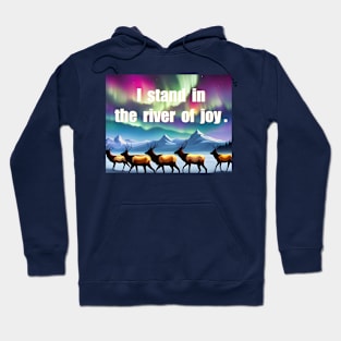 joy mantra with colorful elk tundra northern light theme Hoodie